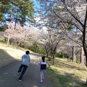 あけましておめでとうございます。